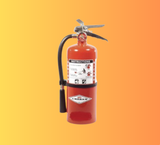 Amerex B462 Regular Dry Chemical Brass Valve Fire Extinguisher