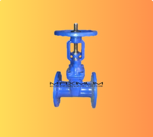 OS&Y Gate Valve