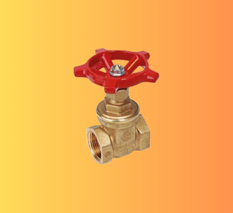 R55 Gate Valve with Female-Female Connections