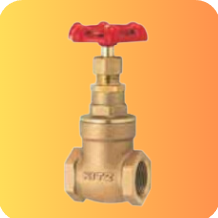 GBV-957: Class 150 Bronze Globe Valve