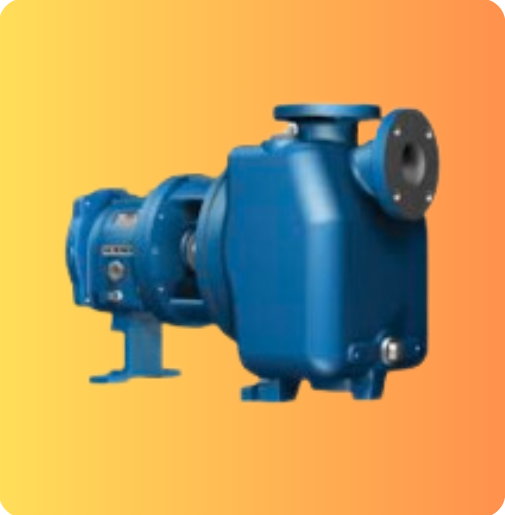 ESS-131: End Suction Self Priming Process Pumps 2796 Series - Summit