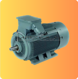 IEC Standard electric motor low voltage dmw1 series -marathon